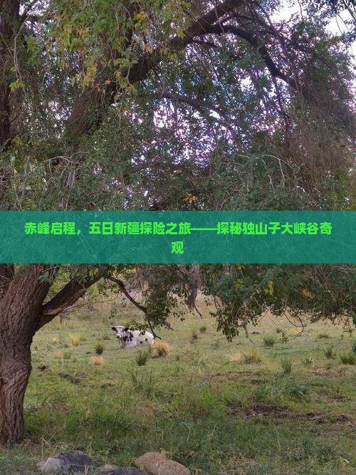 赤峰启程，五日新疆探险之旅——探秘独山子大峡谷奇观