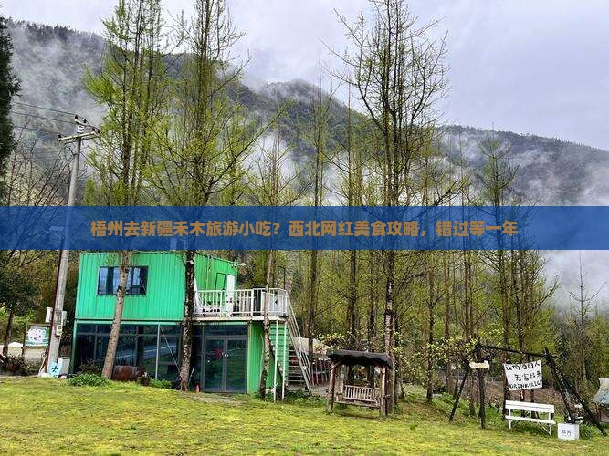 梧州去新疆禾木旅游小吃？西北网红美食攻略，错过等一年