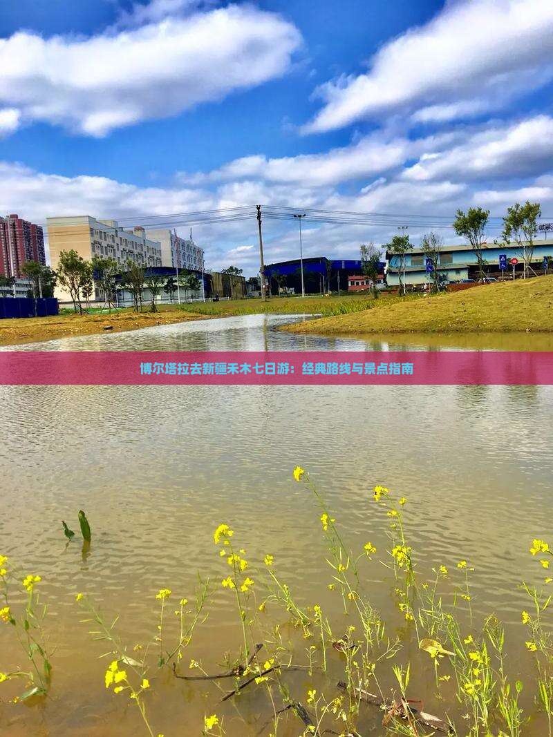 博尔塔拉去新疆禾木七日游：经典路线与景点指南