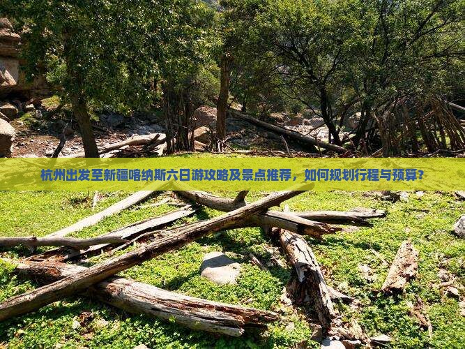 杭州出发至新疆喀纳斯六日游攻略及景点推荐，如何规划行程与预算？