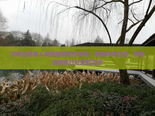 铁岭出侣老人新疆旅游景点攻略：看看环球之旅，新疆旅游旅行社定制之旅