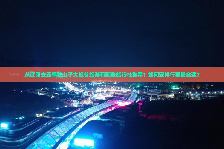 从辽阳去新疆独山子大峡谷旅游有哪些旅行社推荐？如何安排行程最合适？
