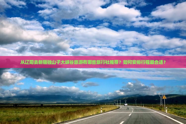 从辽阳去新疆独山子大峡谷旅游有哪些旅行社推荐？如何安排行程最合适？