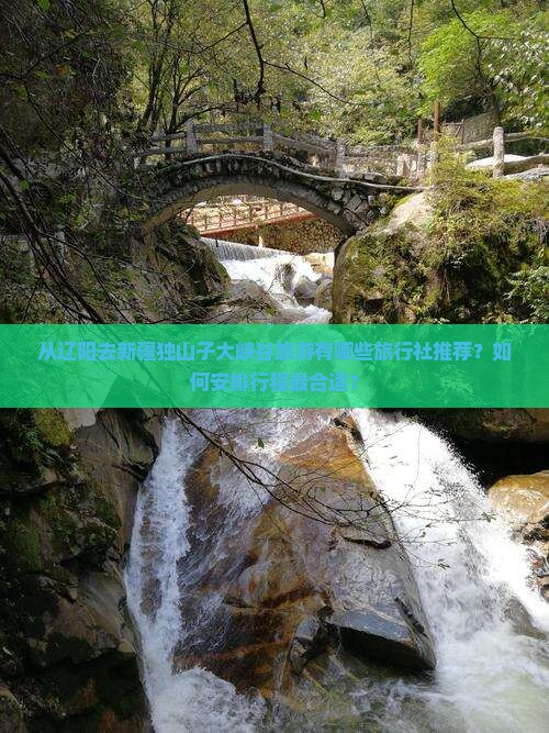 从辽阳去新疆独山子大峡谷旅游有哪些旅行社推荐？如何安排行程最合适？