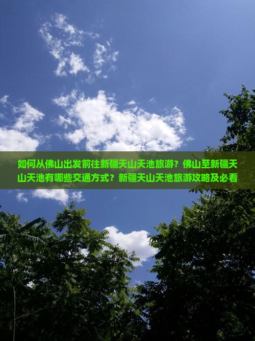 如何从佛山出发前往新疆天山天池旅游？佛山至新疆天山天池有哪些交通方式？新疆天山天池旅游攻略及必看景点有哪些？