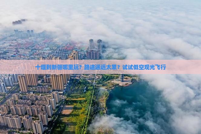 十堰到新疆哪里玩？路途遥远太累？试试低空观光飞行