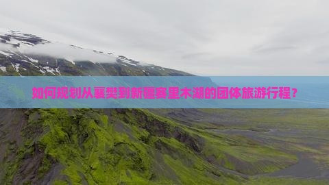 如何规划从襄樊到新疆赛里木湖的团体旅游行程？