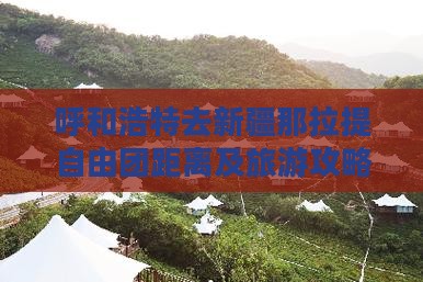 呼和浩特去新疆那拉提自由团距离及旅游攻略