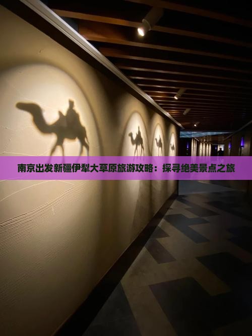 南京出发新疆伊犁大草原旅游攻略：探寻绝美景点之旅