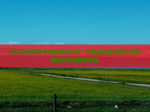 秋天去新疆禾木自由团多少钱？北疆必佳国际旅行社查看旅游攻略路线信息