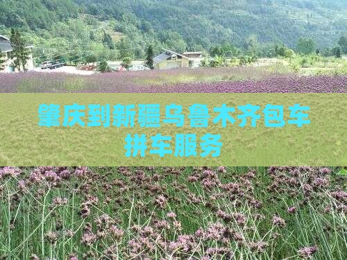肇庆到新疆乌鲁木齐包车拼车服务