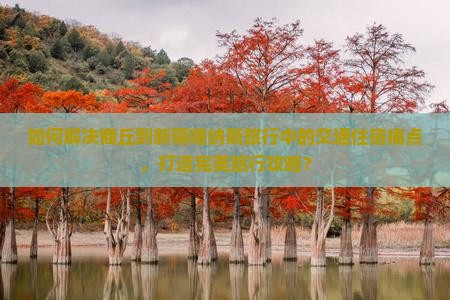 如何解决商丘到新疆喀纳斯旅行中的交通住宿痛点，打造完美旅行攻略？