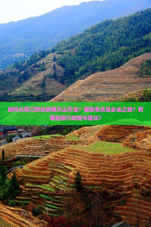 如何从周口前往新疆天山天池？哪些景点是必去之地？有哪些旅行攻略与建议？