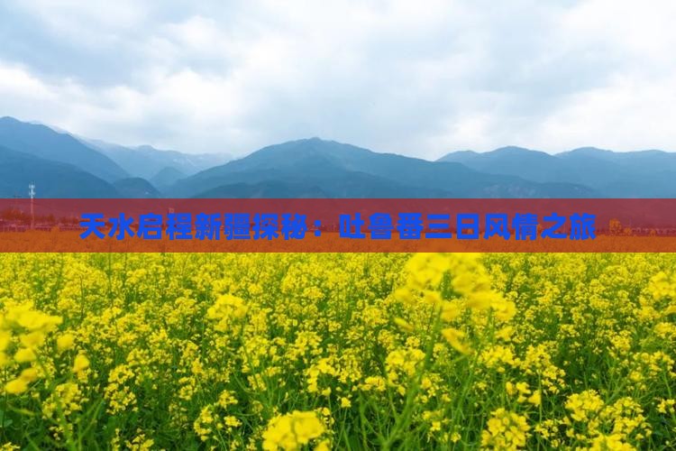 天水启程新疆探秘：吐鲁番三日风情之旅