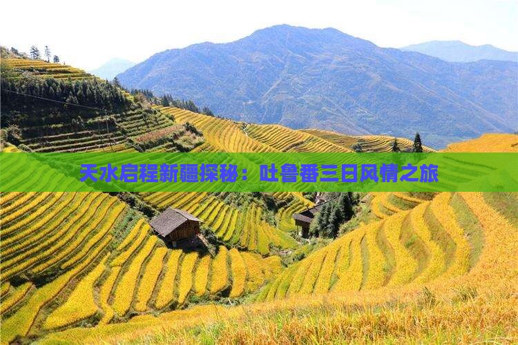 天水启程新疆探秘：吐鲁番三日风情之旅
