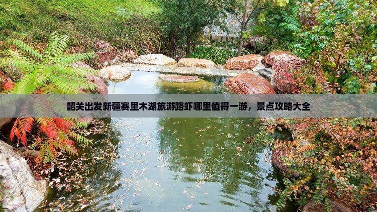 韶关出发新疆赛里木湖旅游路虾哪里值得一游，景点攻略大全