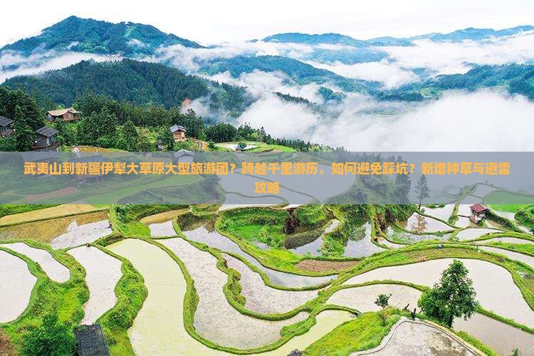 武夷山到新疆伊犁大草原大型旅游团？跨越千里游历，如何避免踩坑？新增种草与避雷攻略