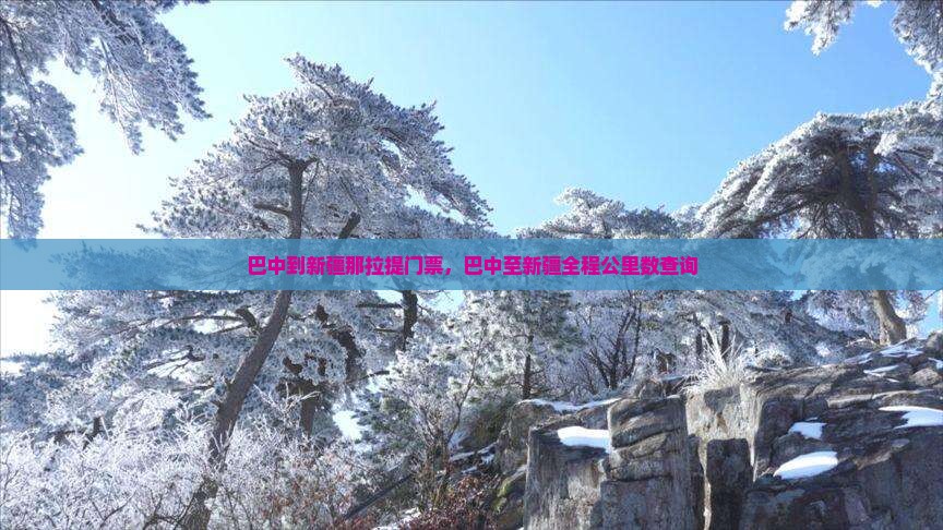 巴中到新疆那拉提门票，巴中至新疆全程公里数查询