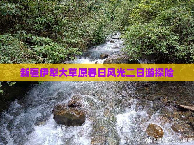 新疆伊犁大草原春日风光二日游探险