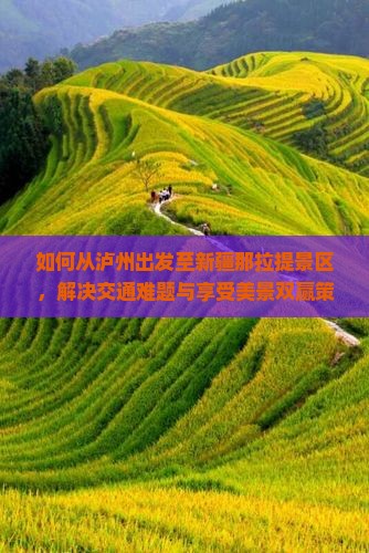 如何从泸州出发至新疆那拉提景区，解决交通难题与享受美景双赢策略？