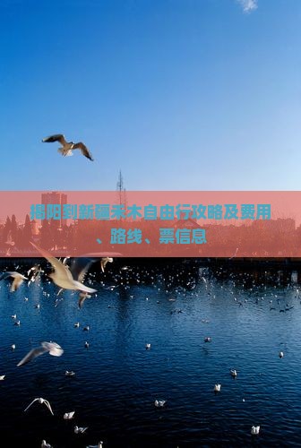 揭阳到新疆禾木自由行攻略及费用、路线、票信息