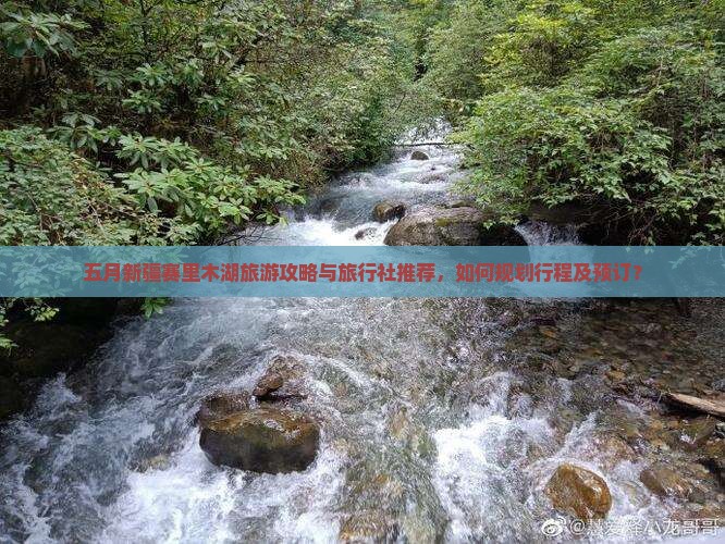 五月新疆赛里木湖旅游攻略与旅行社推荐，如何规划行程及预订？