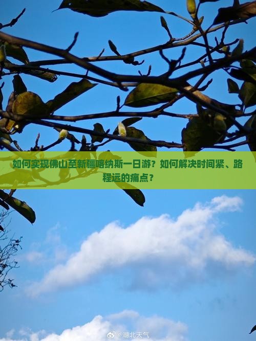 如何实现佛山至新疆喀纳斯一日游？如何解决时间紧、路程远的痛点？