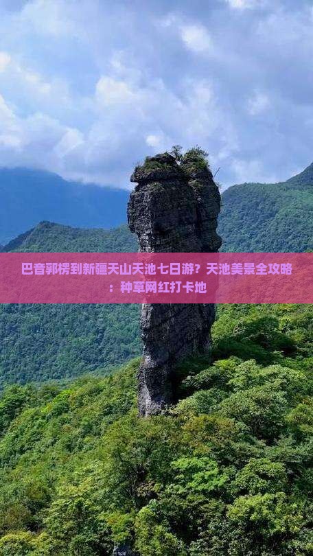 巴音郭楞到新疆天山天池七日游？天池美景全攻略：种草网红打卡地