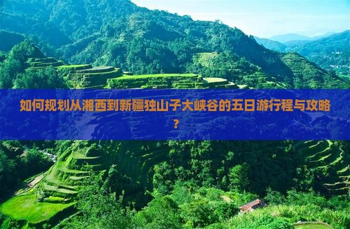 如何规划从湘西到新疆独山子大峡谷的五日游行程与攻略？
