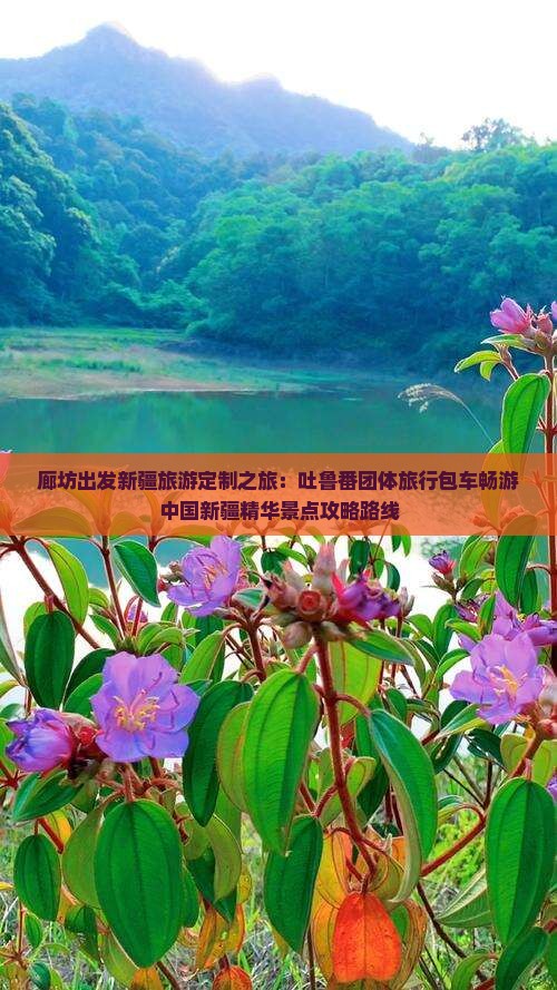 廊坊出发新疆旅游定制之旅：吐鲁番团体旅行包车畅游中国新疆精华景点攻略路线