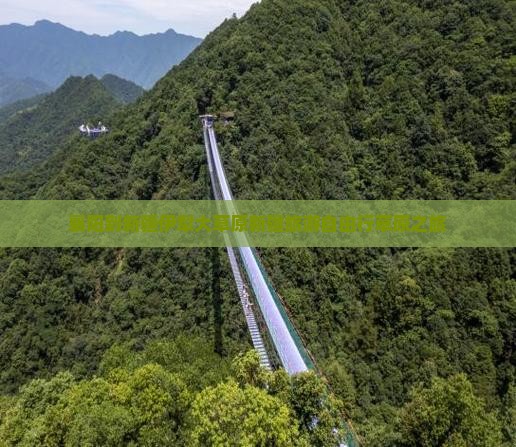 襄阳到新疆伊犁大草原新疆旅游自由行草原之旅