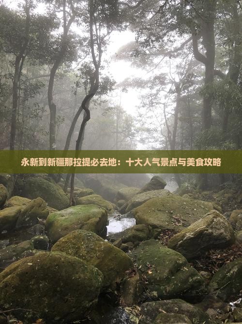 永新到新疆那拉提必去地：十大人气景点与美食攻略