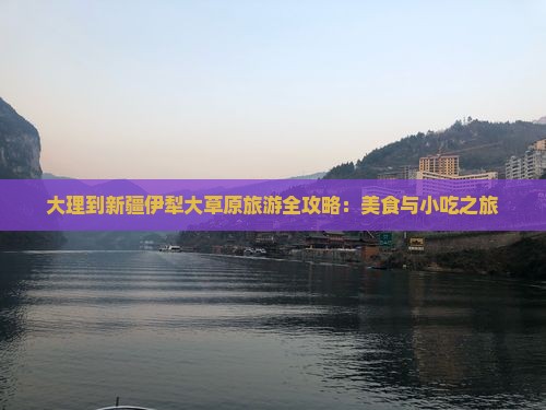 大理到新疆伊犁大草原旅游全攻略：美食与小吃之旅