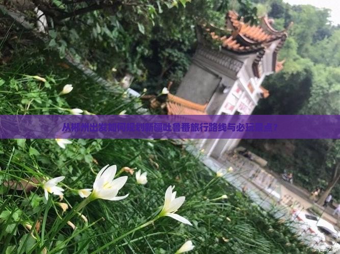 从郴州出发如何规划新疆吐鲁番旅行路线与必玩景点？