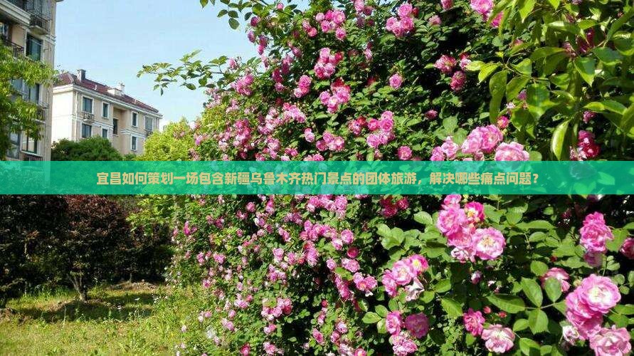 宜昌如何策划一场包含新疆乌鲁木齐热门景点的团体旅游，解决哪些痛点问题？