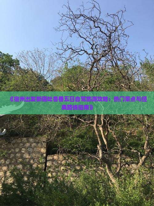 《宿州出发新疆吐鲁番五日自驾旅游攻略：热门景点与经典路线指南》