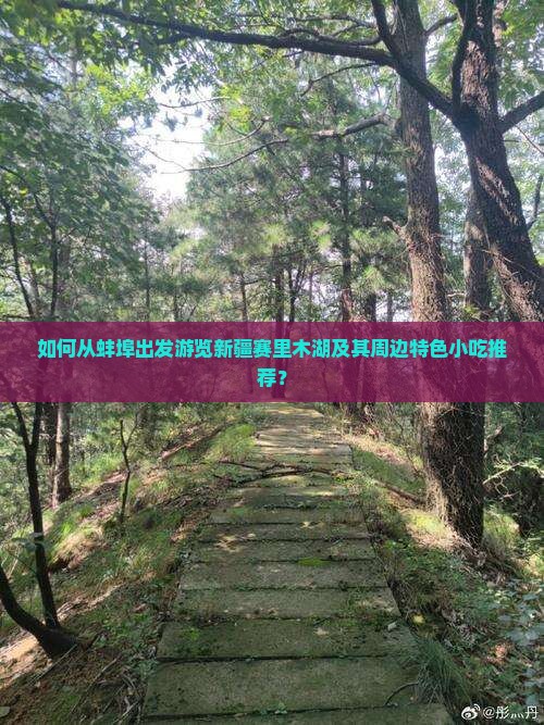 如何从蚌埠出发游览新疆赛里木湖及其周边特色小吃推荐？