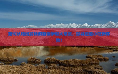 如何从哈闽发畅游新疆伊犁大草原，探寻地道小吃新体验？