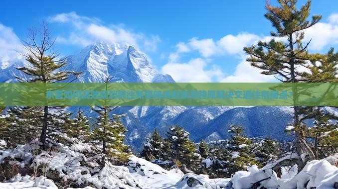 东营如何高效规划前往新疆喀纳斯旅游路犀解决交通住宿痛点？