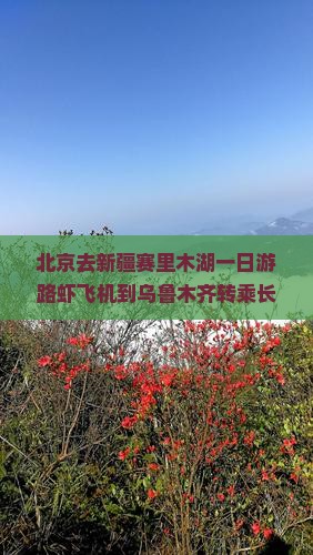 北京去新疆赛里木湖一日游路虾飞机到乌鲁木齐转乘长途车