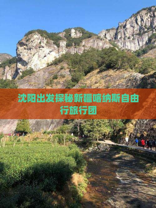 沈阳出发探秘新疆喀纳斯自由行旅行团