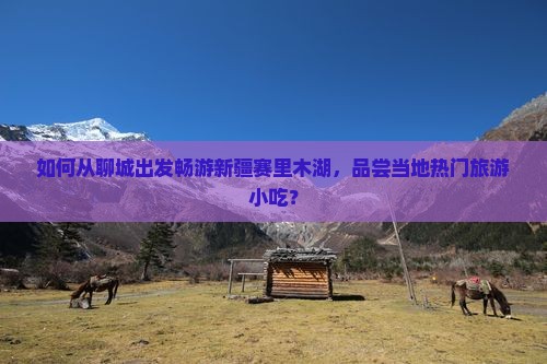 如何从聊城出发畅游新疆赛里木湖，品尝当地热门旅游小吃？