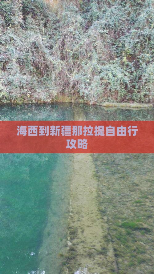 海西到新疆那拉提自由行攻略