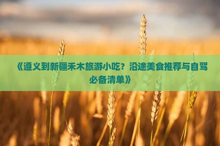 《遵义到新疆禾木旅游小吃？沿途美食推荐与自驾必备清单》