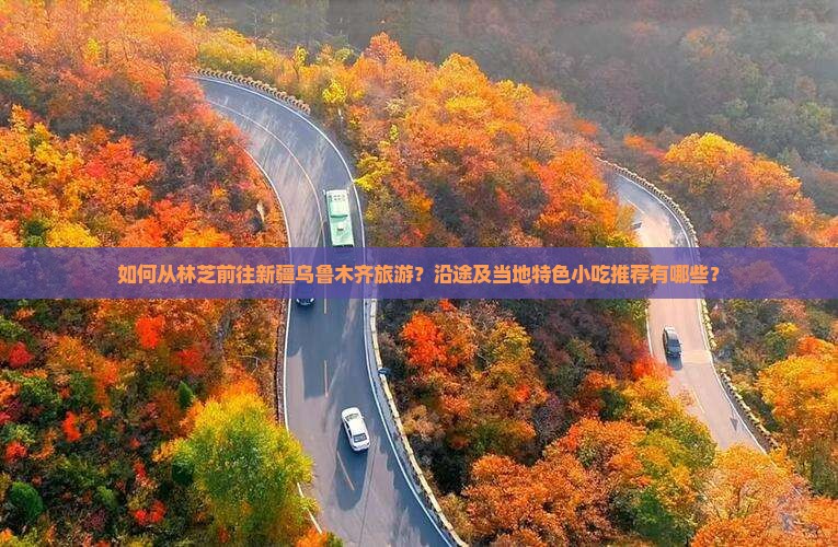 如何从林芝前往新疆乌鲁木齐旅游？沿途及当地特色小吃推荐有哪些？