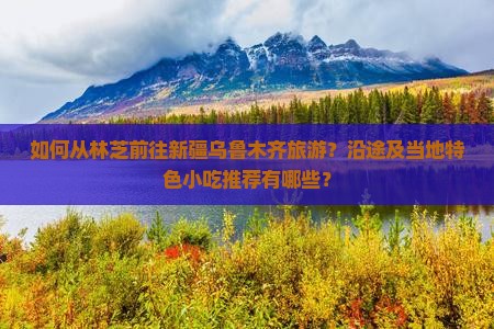 如何从林芝前往新疆乌鲁木齐旅游？沿途及当地特色小吃推荐有哪些？