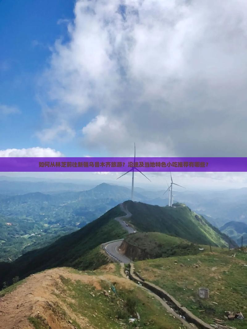如何从林芝前往新疆乌鲁木齐旅游？沿途及当地特色小吃推荐有哪些？