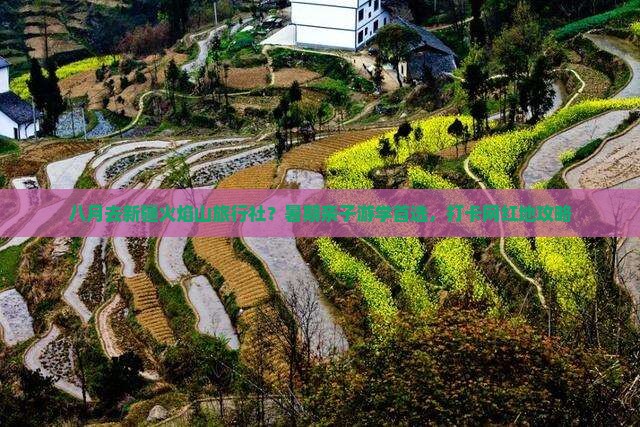 八月去新疆火焰山旅行社？暑期亲子游学首选，打卡网红地攻略