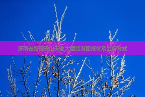 济南去新疆天山天池大型旅游团报价及出行方式