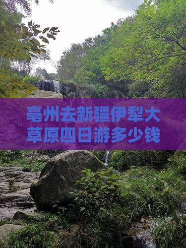 亳州去新疆伊犁大草原四日游多少钱